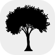 CashTree AI logo